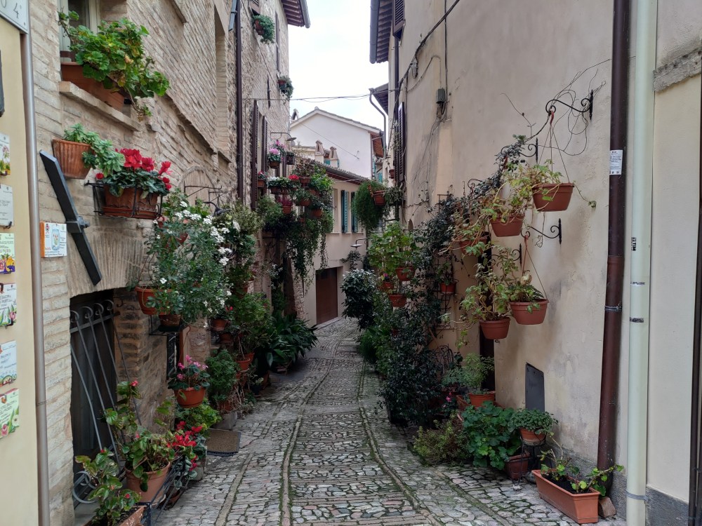 Vicoli di Spello adornati di fiori, Umbria
