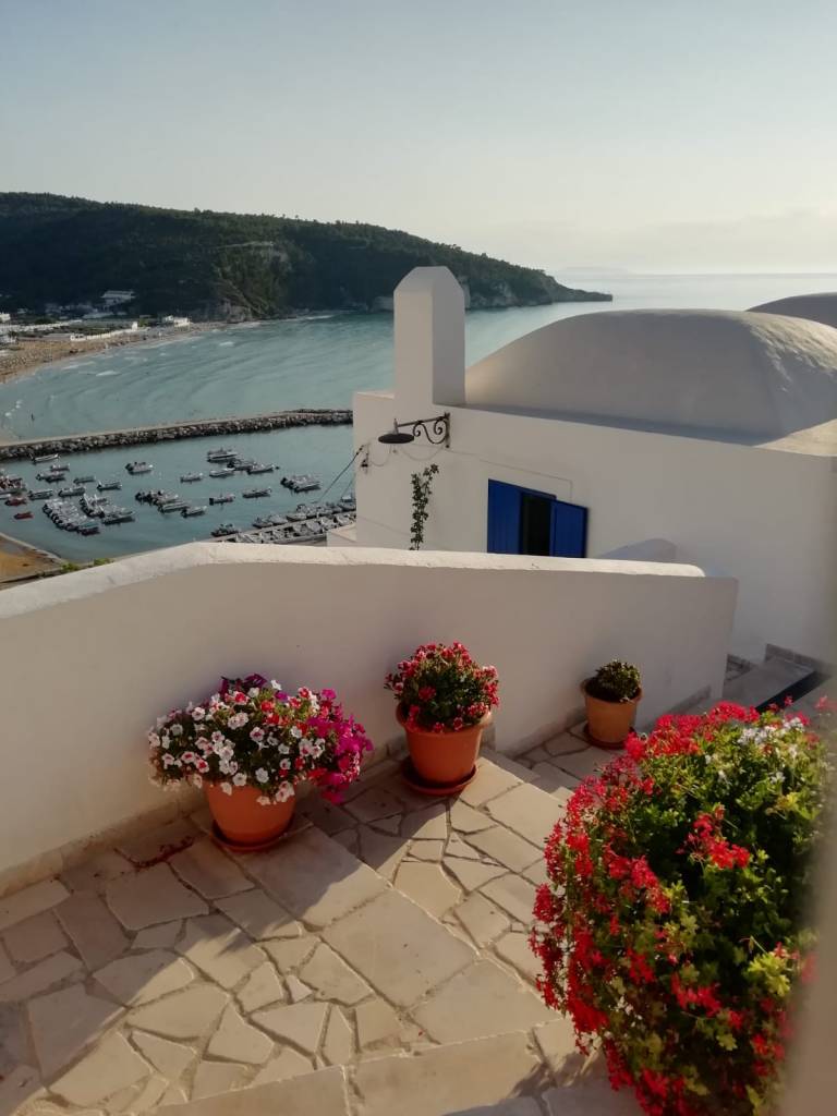 Abitazione di colore bianco affiancata da alcuni vasi fioriti a Peschici che si impone dall'alto sul Mar Adriatico