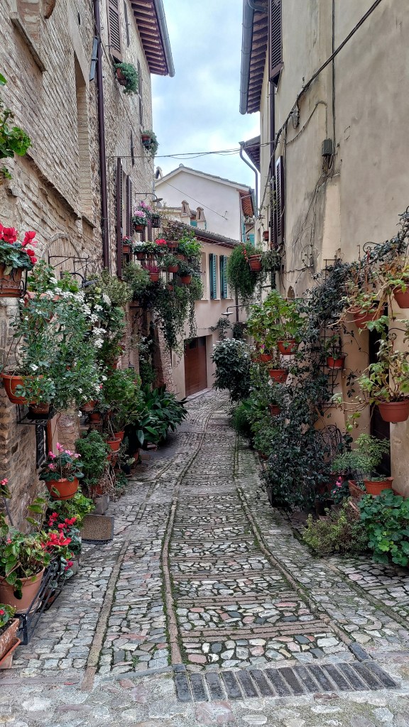 Uno dei vicoli fioriti del centro storico di Spello, Umbria