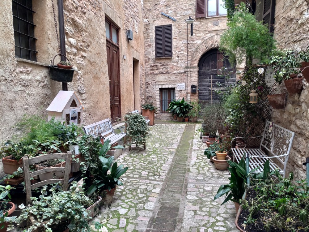 Piante e fiori in un vicolo di Spello, Umbria, Italia