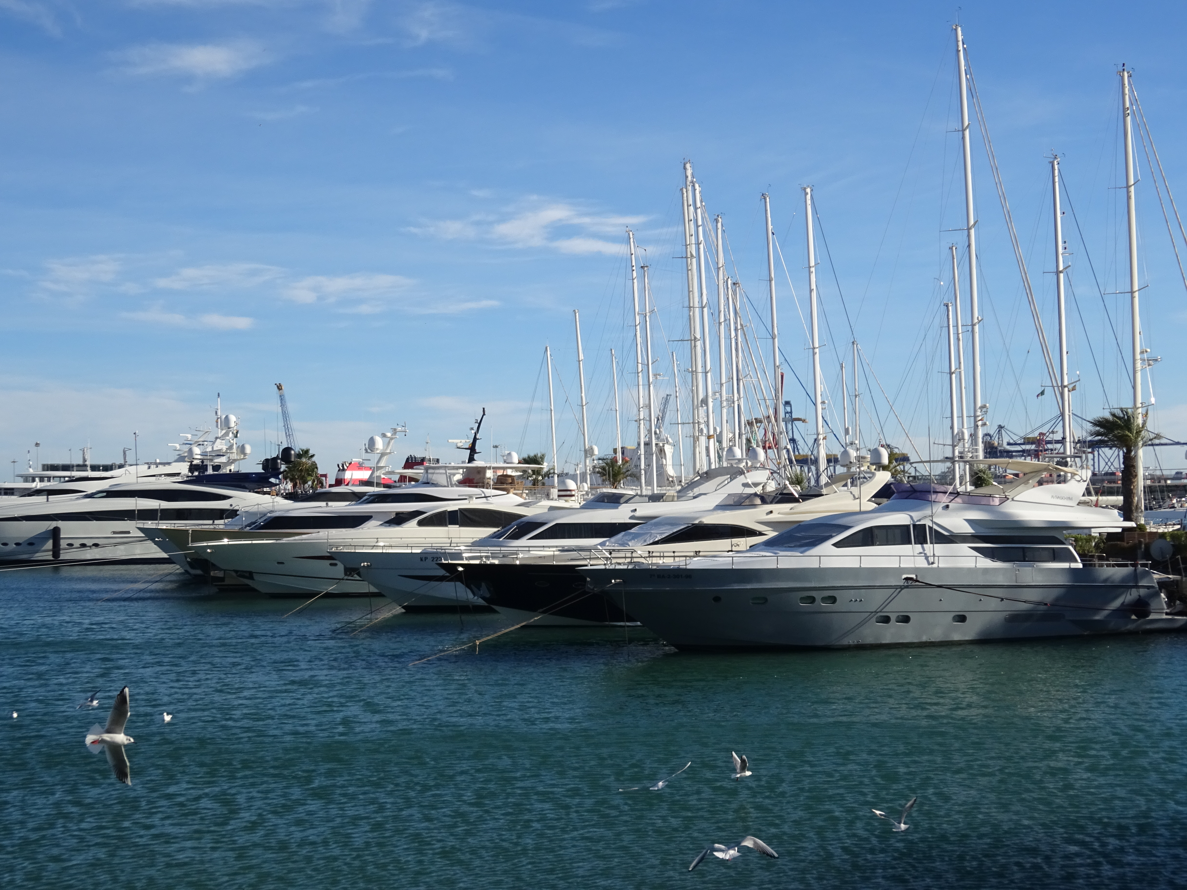 Marina Real Juan Carlos I a Valencia con numerose barche e yacht ormeggiati