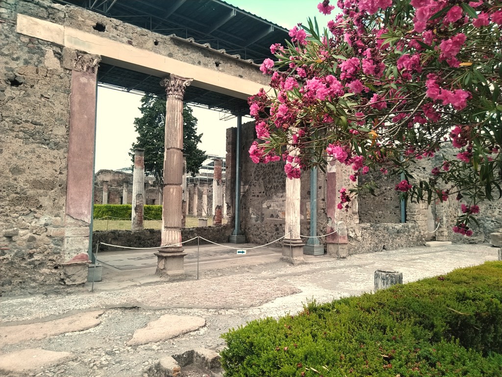 Alcuni fiori rosa davanti ai resti romani di un'antica e ricca abitazione nell'area degli scavi archeologici di Pompei
