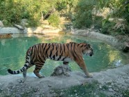 Visitare Lo Zoo Di Verona Biglietti Orari Consigli E Tutte Le Info Visitare Lo Zoo Di Verona Biglietti Orari Consigli E Tutte Le Info
