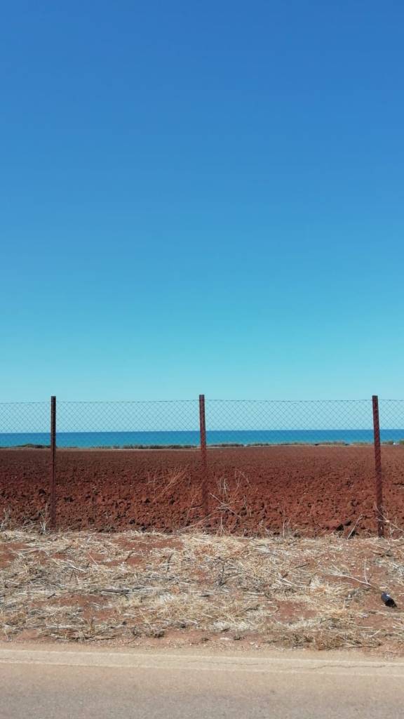 L'azzurro del cielo, il blu del mare, il marrone dei campi e il grigio dell'asfalto, Gargano, Puglia