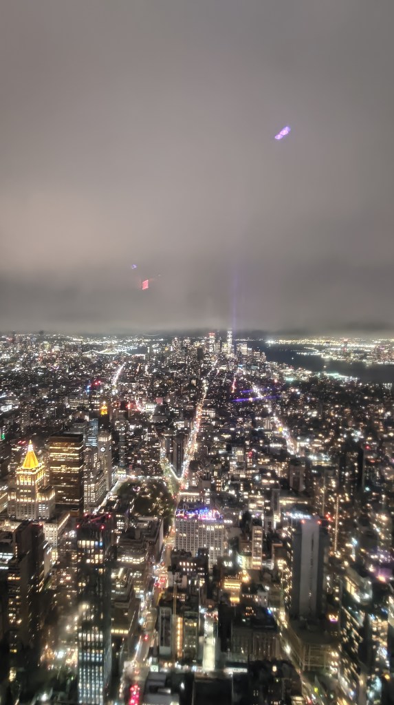 Panorama di notte verso sud dalla cima dell'Empire State Building, New York, USA
