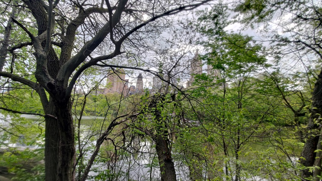 Vista da Central Park verso i grattacieli di New York, USA