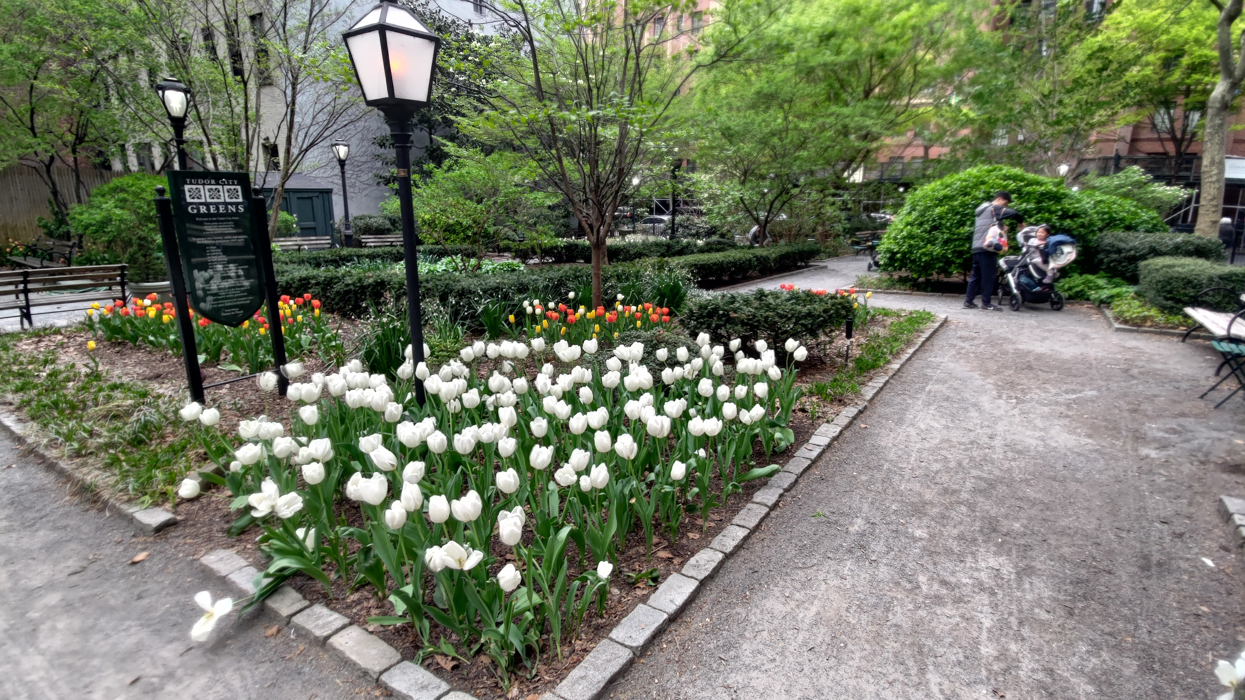 Il Tudor City Greens, un angolo di pace tra fiori e panchine in centro a New York, USA