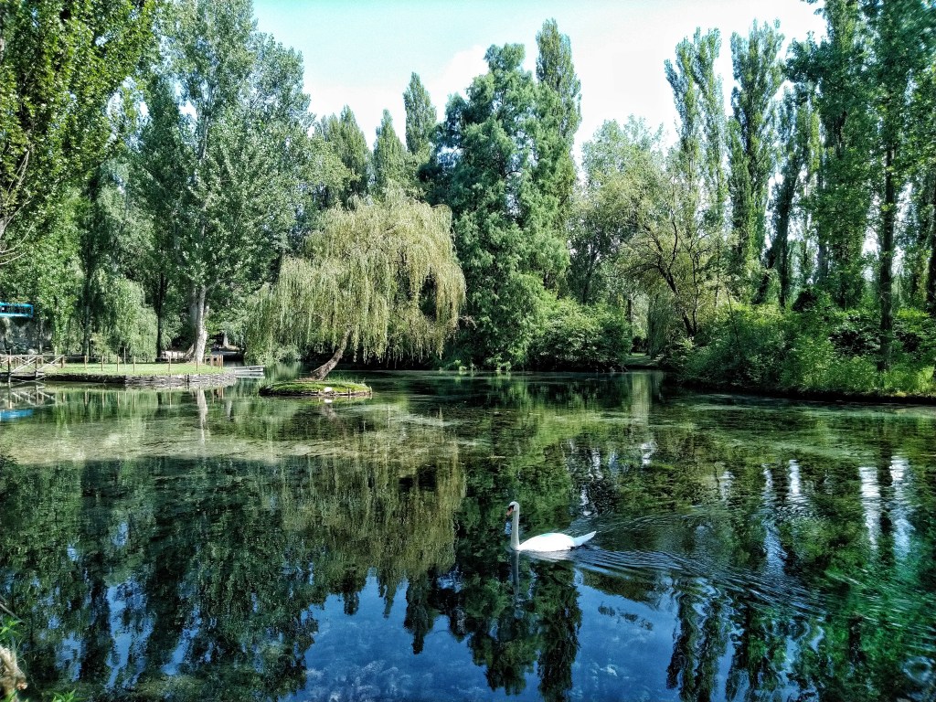 Le fonti del Clitunno tra specchi d'acqua, alberi, cigni, ponti e prati. Questo luogo paradisiaco si trova vicino a Campello del Clitunno, in Umbria