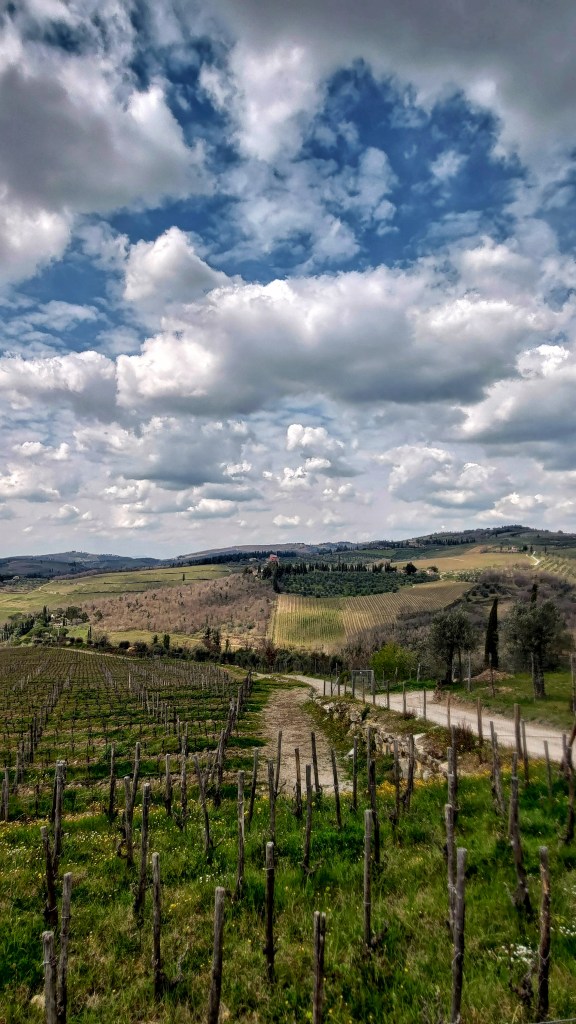 Le dolci colline del Chianti, Toscana