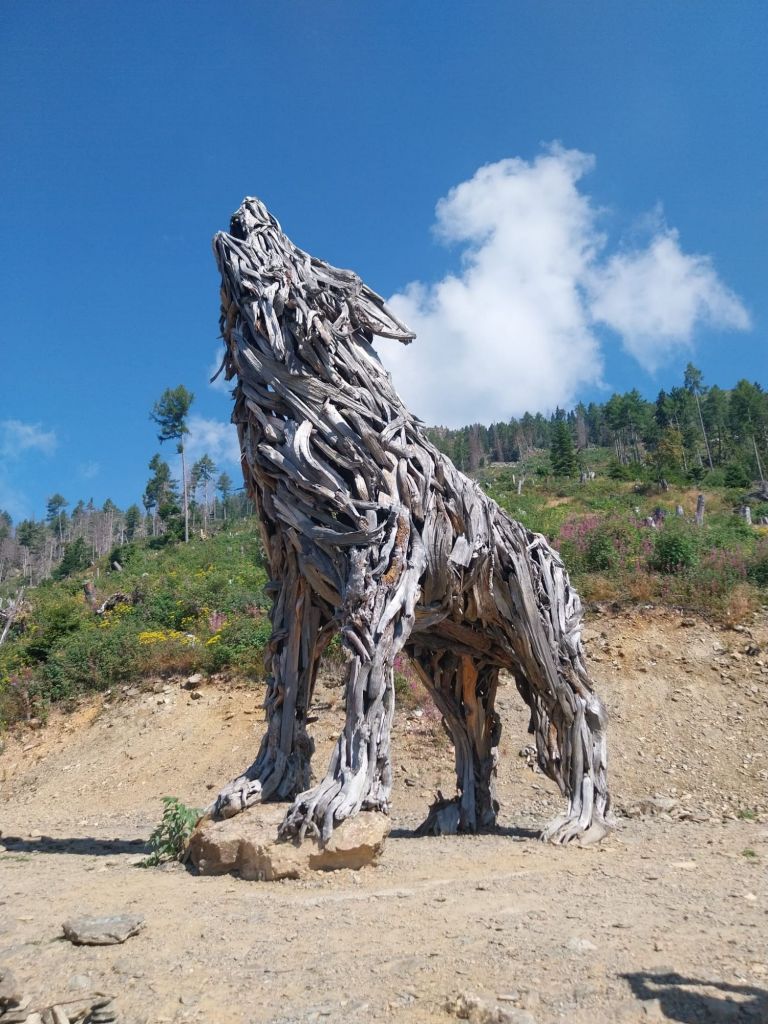 La Lupa del Lagorai, nelle vicinanze di Levico Terme, in Trentino