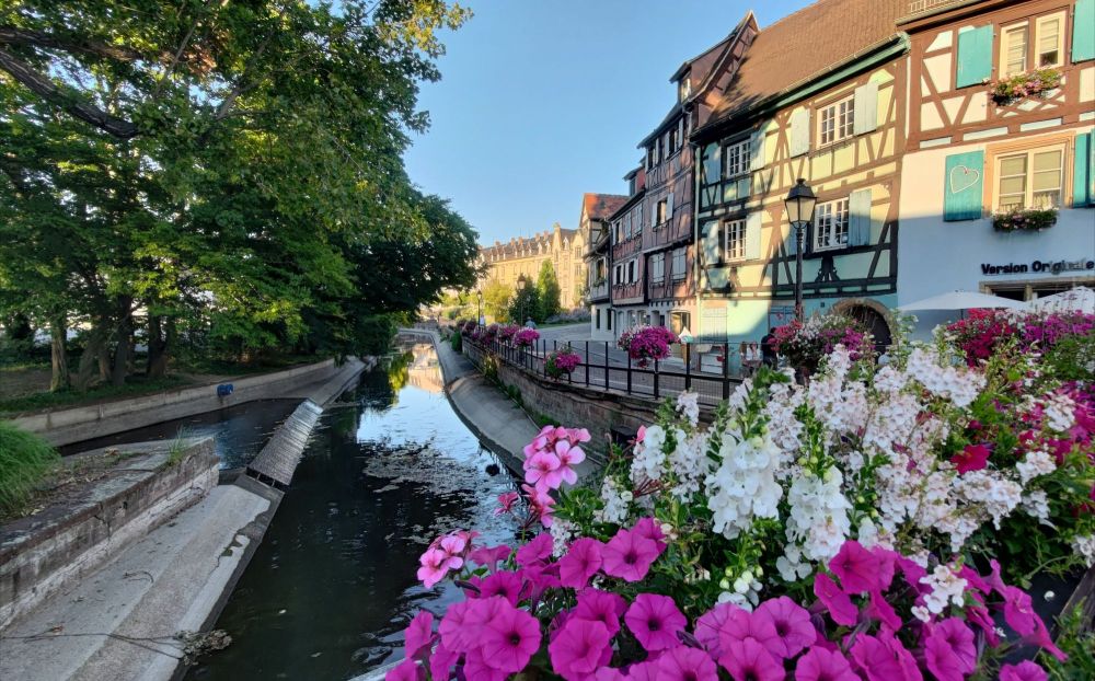 Vista di Colmar con fiori