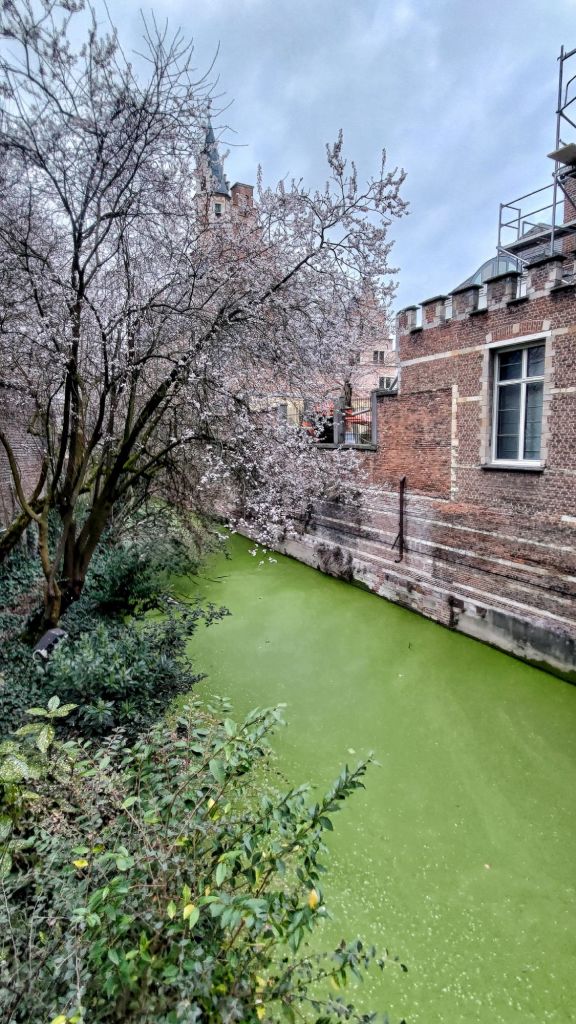 Scorcio primaverile di Mechelen, città fiamminga del Belgio