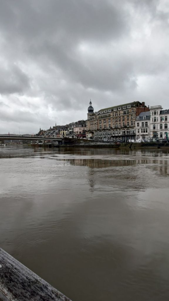 Il centro storico di Dinant sulle rive della Mosa, Vallonia, Belgio