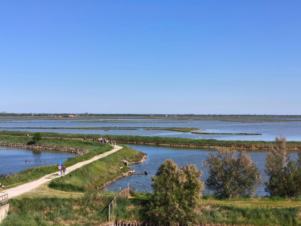 Le Valli di Comacchio e i fenicotteri, Emilia Romagna, Italia